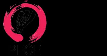 PFCE, Psychiatric Functional Capacity Evaluation certified